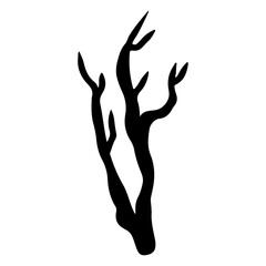 branches and tree trunks transparent illustration