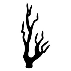 branches and tree trunks transparent illustration