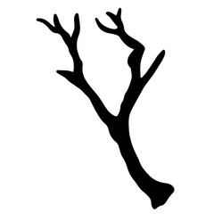 branches and tree trunks transparent illustration