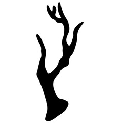 branches and tree trunks transparent illustration