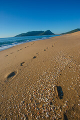 Praia vazia ao nascer do sol, 
