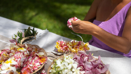 Woman making Hawaiian Lei and Hahu. Process of Handmade flower crown made from Hawaii flower Plumeria.