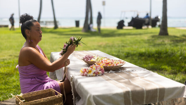 Woman making Hawaiian Lei and Hahu. Process of Handmade flower crown made from Hawaii flower Plumeria.