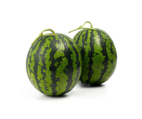 수박 watermelon