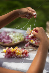 Woman making Hawaiian Lei and Hahu. Process of Handmade flower crown made from Hawaii flower Plumeria.