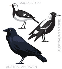 Cute Bird Australian Magpie Raven Lark Set Cartoon Vector