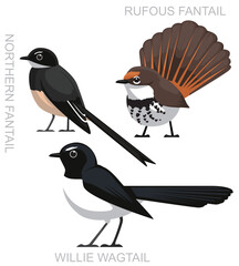 Cute Bird Australian Fantail Wagtail Set Cartoon Vector