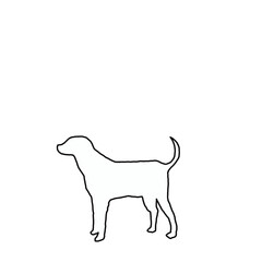 Minimal Dog