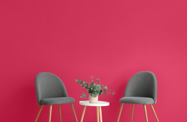 Modern grey chairs and table with green plant near viva magenta wall in room