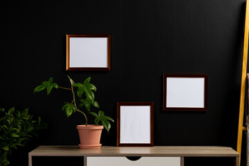 Brown empty frames with copy space and plants in pots on desk against black wall