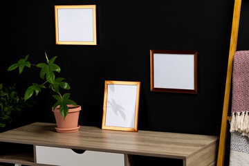 Brown empty frames with copy space and plants in pots on desk against black wall