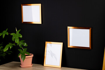 Brown empty frames with copy space and plant in pot on desk against black wall