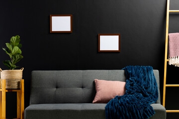 Brown empty frames with copy space and plant on black wall in room with couch