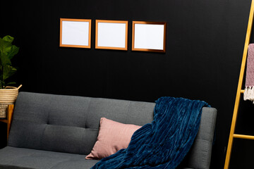 Brown empty frames with copy space and plant on black wall in room with couch