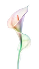 The image of a sweet translucent flower is as if in a dream. Generative AI illustration.