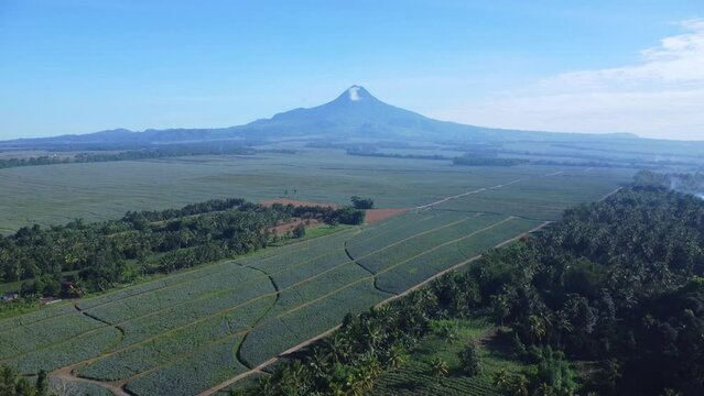 Aerial View of Mount Matutum in South Cotabato, Philippines with Pineapple Plantation