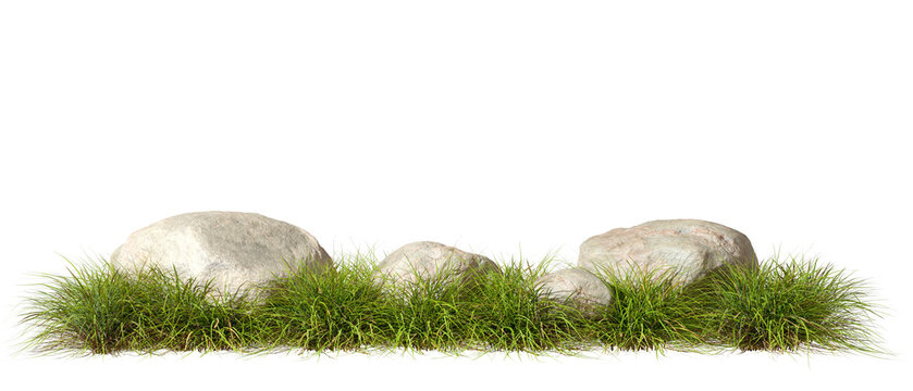 Greenery grass fields meadow row with rock composition cutout backgrounds 3d rendering