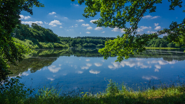 Freilingen, Sommer Ausblick