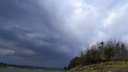 Dead trees near lake with cloudy sky as background. Dead trees near lake with bright and cloudy sky as background.