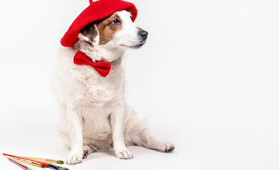 Dog sitting in a red beret with tassels on a white background. The concept of creativity, art.