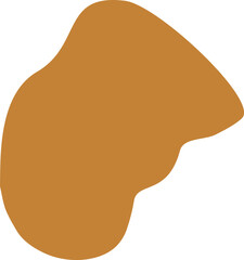 Abstract Shape Vector