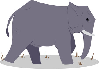 elephant cartoon illustration