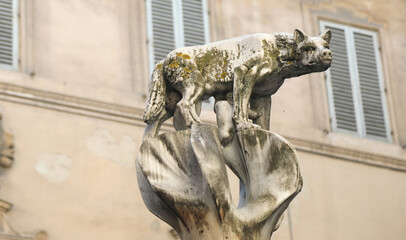 statue of a female wolf in Siena Tuscany in Italy called LUPA SENESE in Italian language