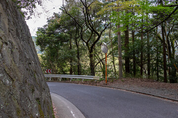 見通しの悪い山道のカーブ