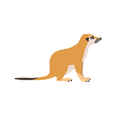 Animal illustration. Sitting meerkat drawn in a flat style. Isolated object on a white background. Vector 10 EPS