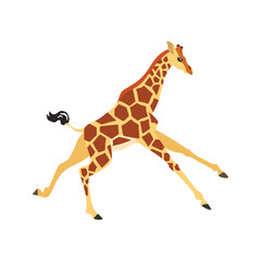 Animal illustration. Running giraffe drawn in a flat style. Isolated object on a white background. Vector 10 EPS