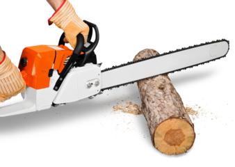 Man with chainsaw cutting the tree on background