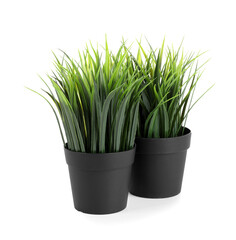 Artificial grass on white background