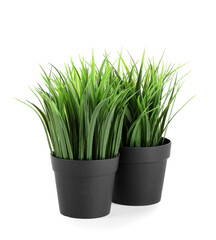 Artificial grass on white background