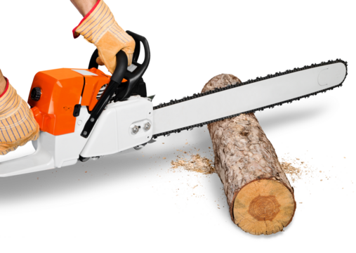 Man with chainsaw cutting the tree on background