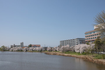 新潟市の風景