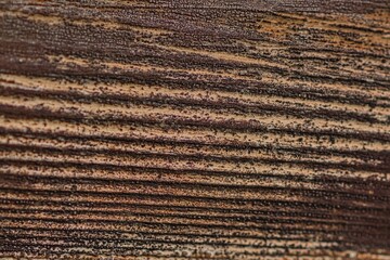 wooden surface with cracked brown paint