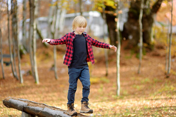 Cheerful child during walk in the forest on a sunny autumn day. Preteen boy is having fun while walking through the autumn forest.
