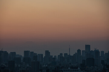 船堀タワーから観る東京の景色