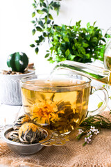 Blooming flower tea in a glass cup