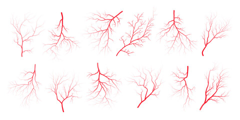 Human eye blood veins vessels silhouettes vector illustration set isolated on white background. Eyeballs red veins anatomical collection of human blood vessel artery health system.