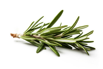 Fototapeta premium Rosemary Leaf On White Background. Generative AI