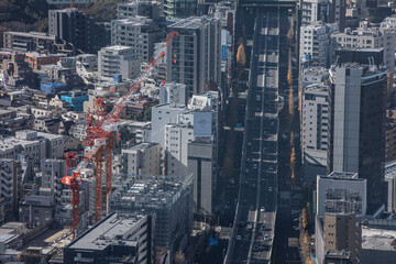 Obraz premium 六本木ヒルズから観た景色