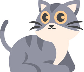 Playful Grey Cute Cat