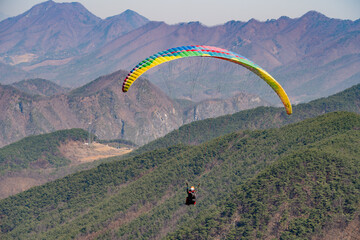 people who enjoy paragliding in the sky