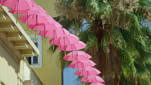 pink umbrellas are lined up next to a palm tree in the city of grasse in south France