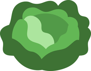 Cute Vegetable Illustration