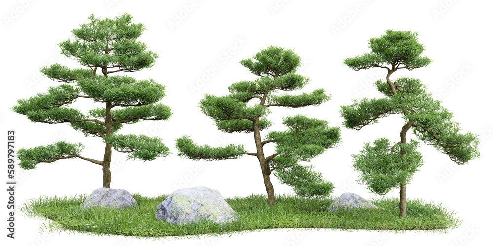 Poster group of tree isolated on transparent background 3d rendering png