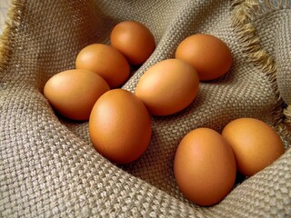 eight chicken eggs lie in a basket on a coarse cloth