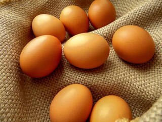 eight chicken eggs lie in a basket on a coarse cloth