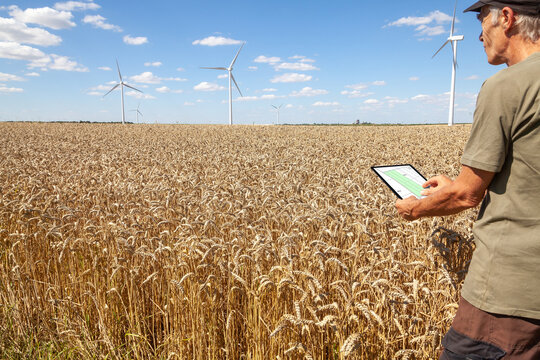 Agriculture et ressources alimentaires - Agriculteur regardant des données sur sa tablette, devant un champ de céréales avant la récolte